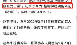 杨晓红家暴最新爆料